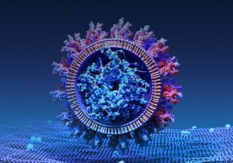 COVID Target Stable Cell Lines